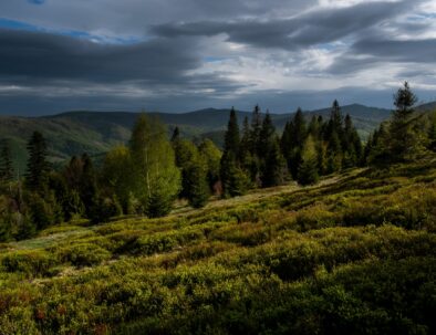 noclegi-w-beskidzie-zywieckim