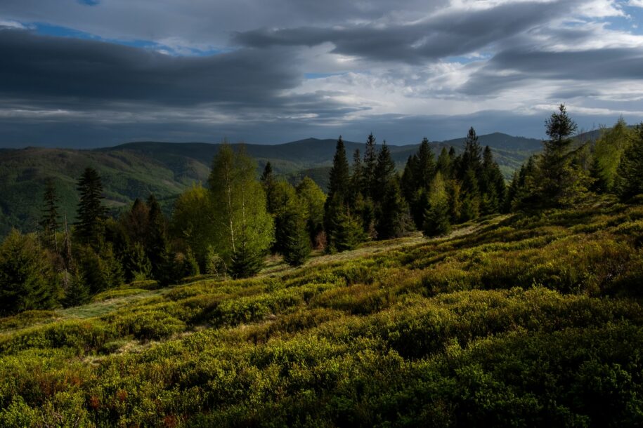 noclegi-w-beskidzie-zywieckim