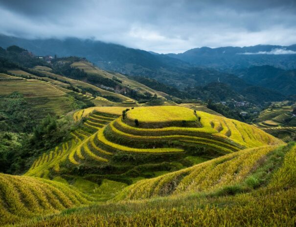Dazhai - longji rice terraces