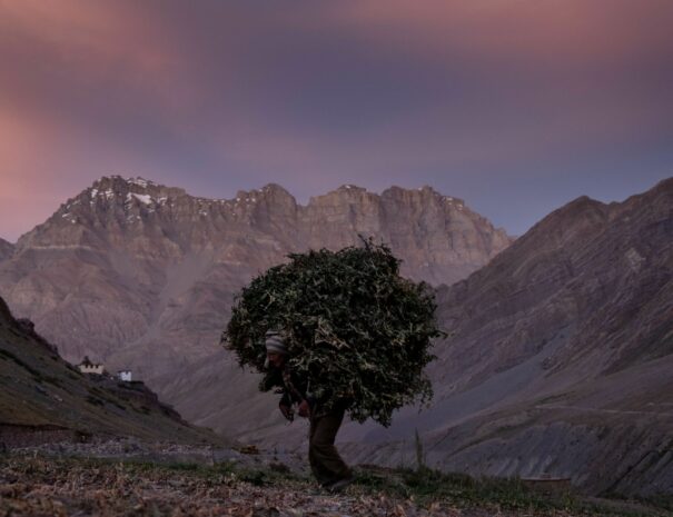 Pin Valley local man