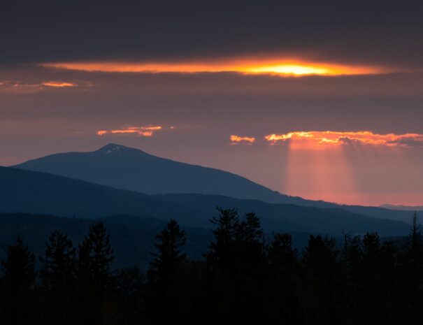 hotel z widokami w zywcu