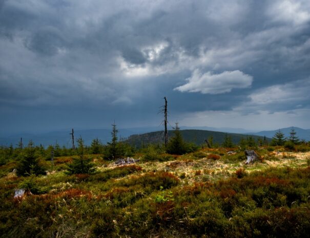 malinowska-szczyt-skrzyczne