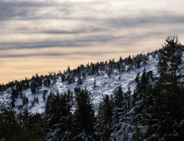 noclegi-w-beskidzie-zywieckim-zywiec