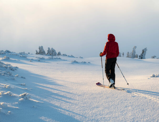 skitury-zywiec-pilsko-skrzyczne