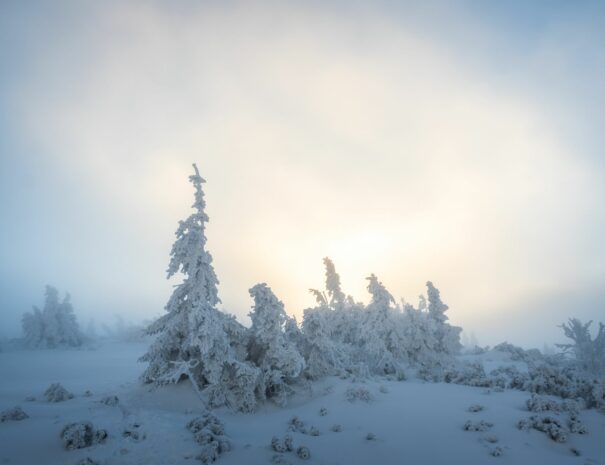 Winterscape - Poland