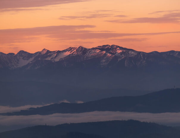 zywiec-hotele-zajaz-izabela