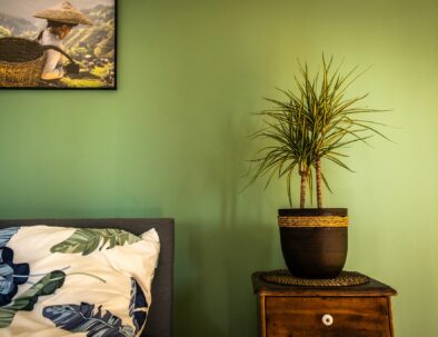 noclegi-zywiec-centrum