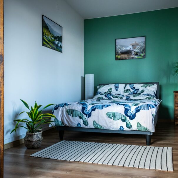 pokoje-zywiec-centrum-z-widokiem