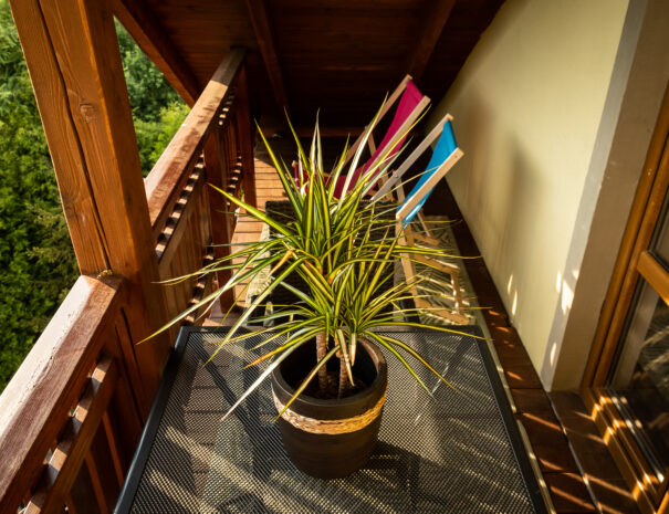 zajazd-izabela-zywiec-noclegi