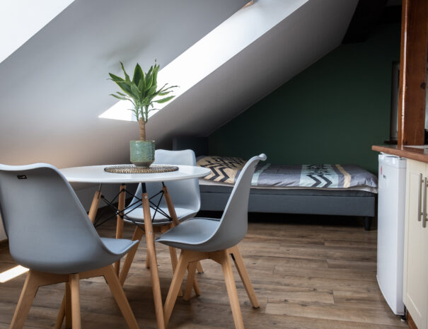 pokoje-noclegi-zywiec-centrum